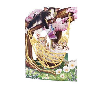 Swing Card Katt i Hammock