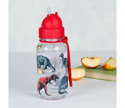 Prehistoric Land Water Bottle