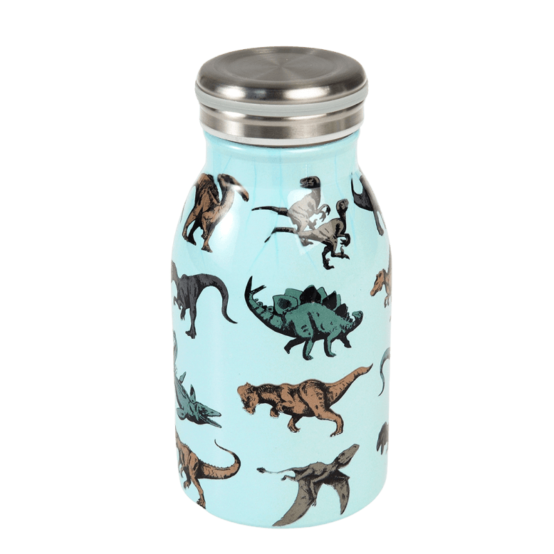 Stainless steel bottle 250ml - Prehistoric Land