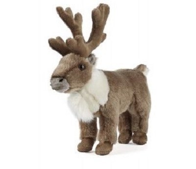 Reindeer Standing