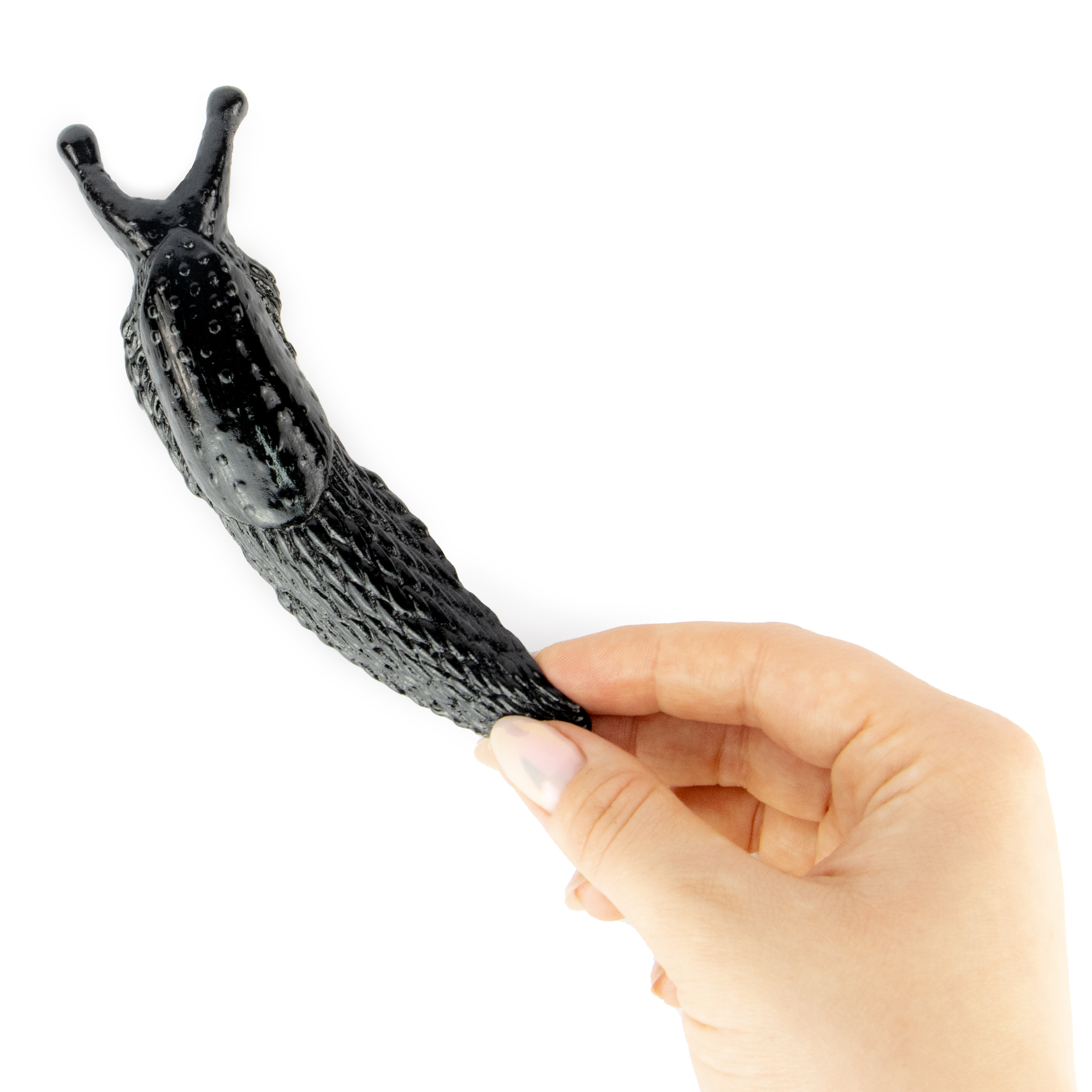 Sticky Slug