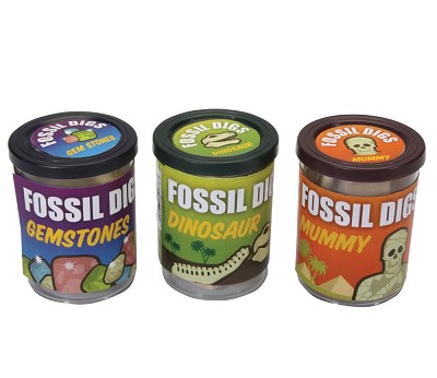 Assorted Fossil Dig in Tub