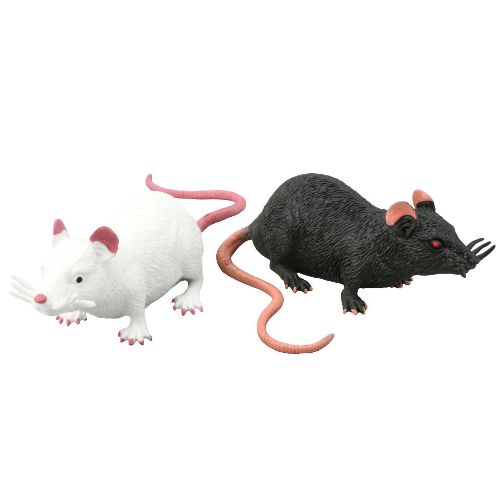 Stretchy Rat