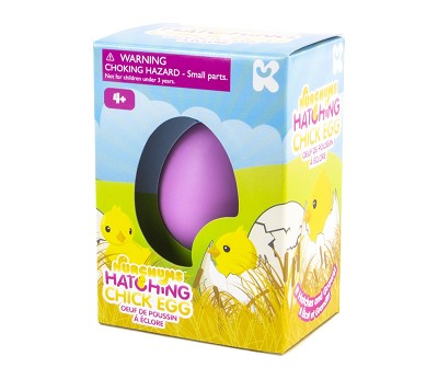 NURCHUMS Small Chick Hatch Eggs