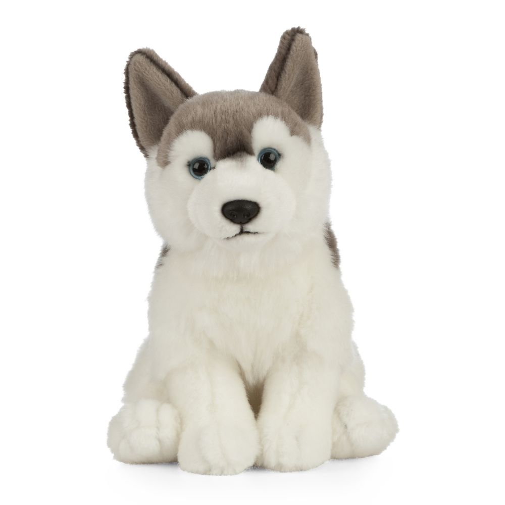 Husky