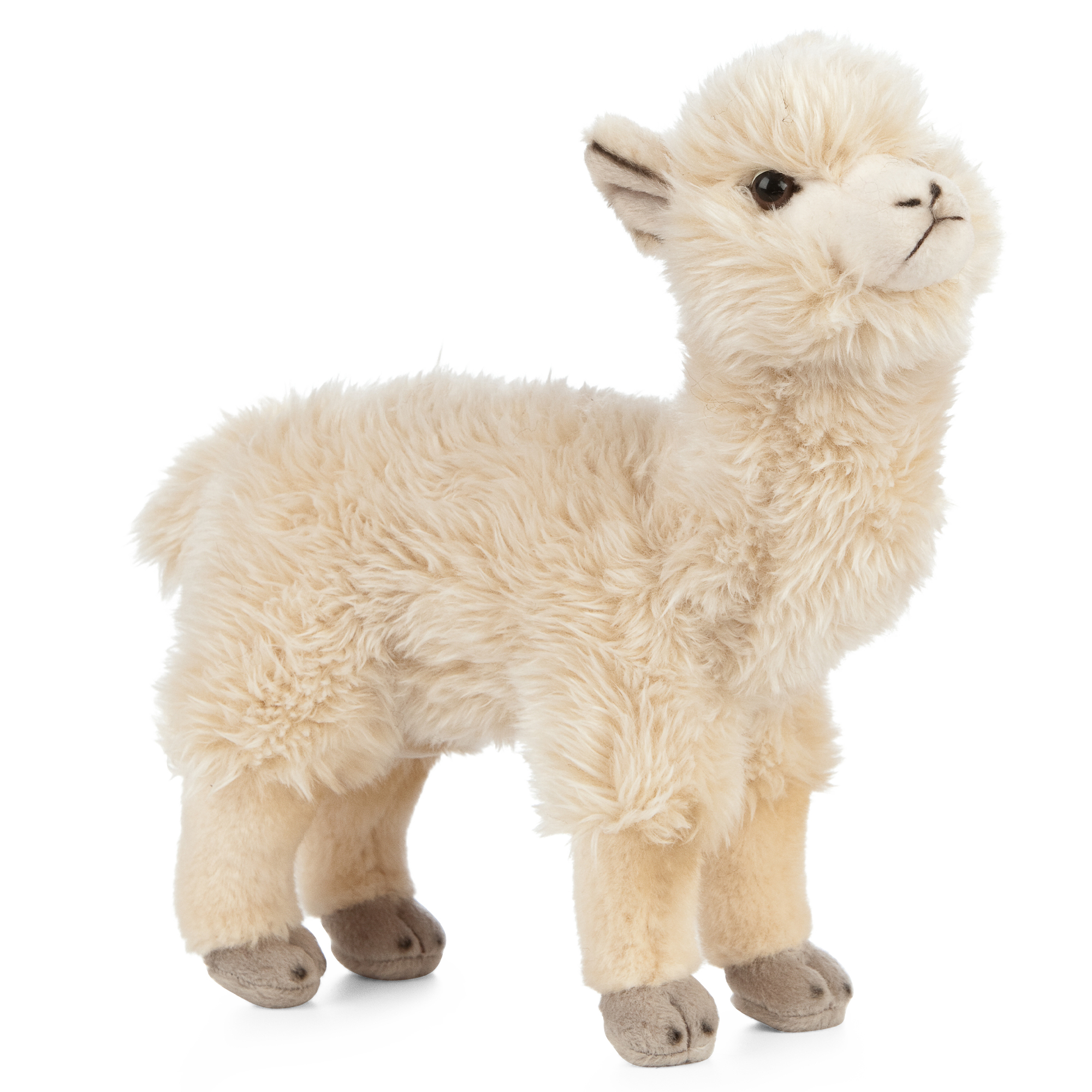 Alpaca