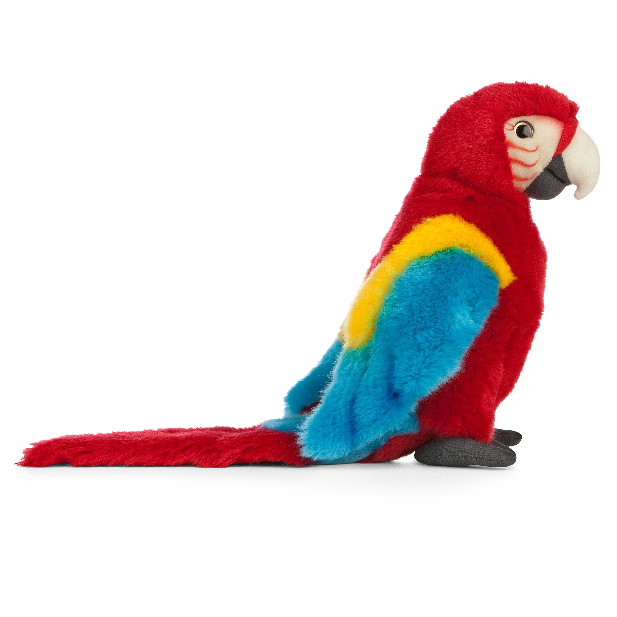 Red Macaw