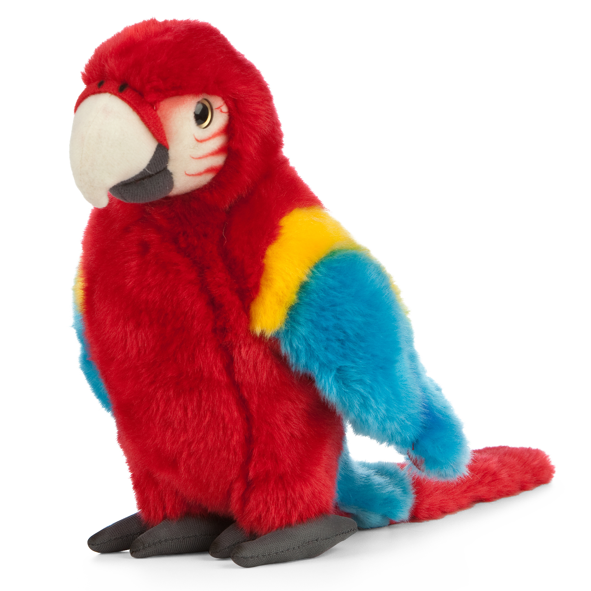 Red Macaw