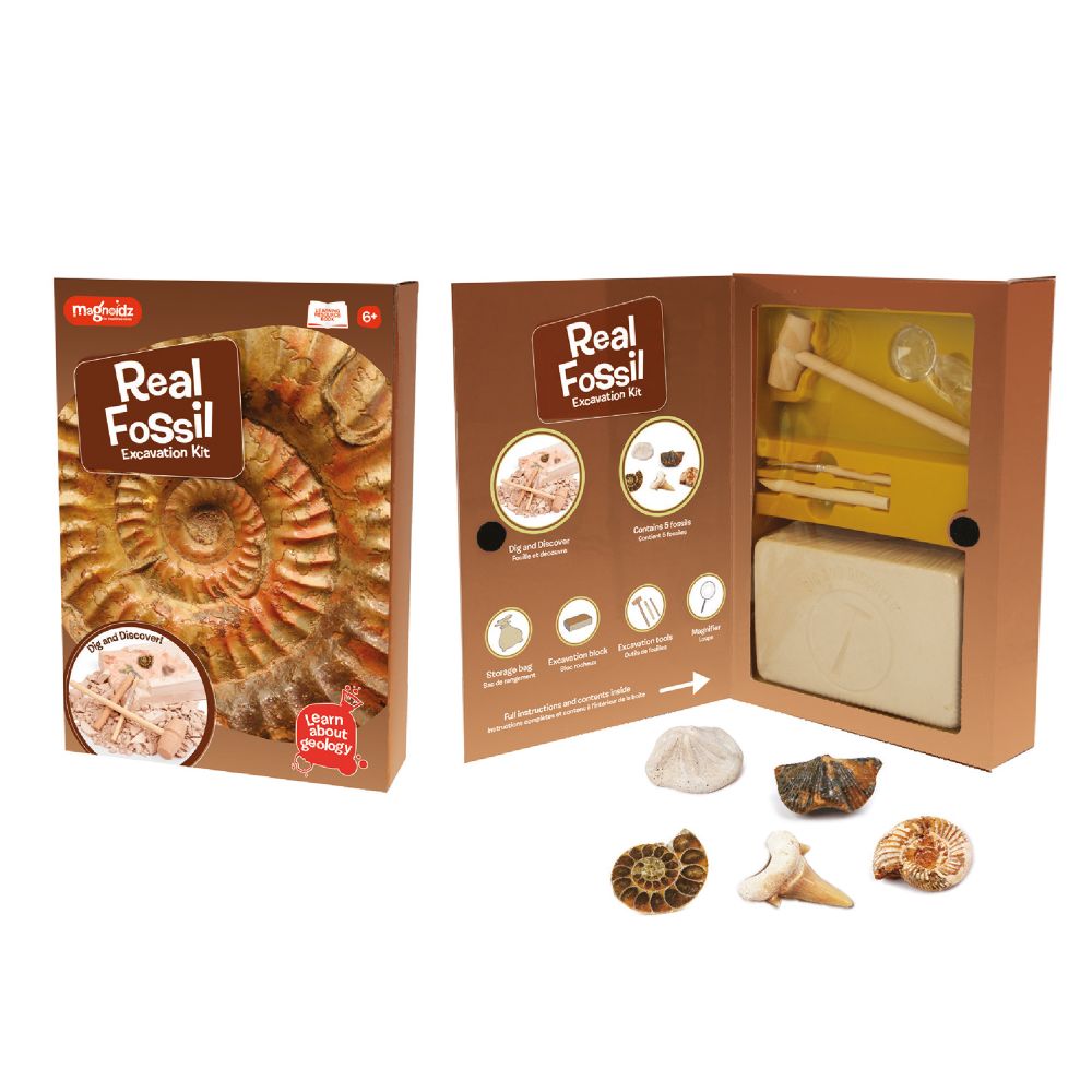 MAGNOIDZ Fossil Dig Kit