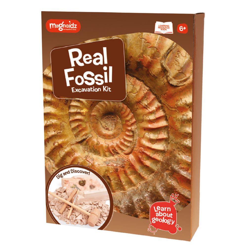 MAGNOIDZ Fossil Dig Kit