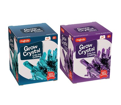 MAGNOIDZ Small Crystal Growing Kit