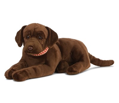 Giant Chocolate Lab
