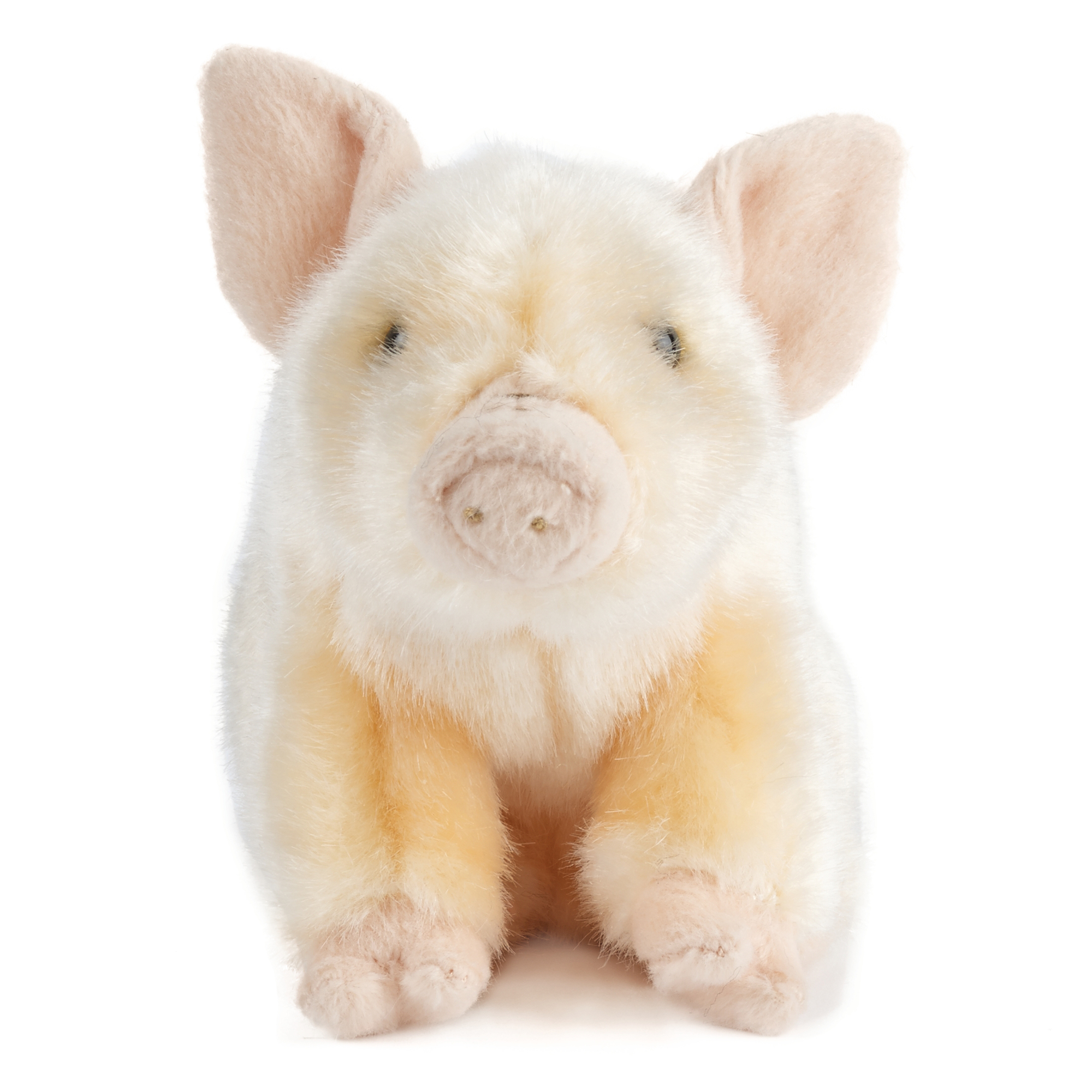 Pink Piglet