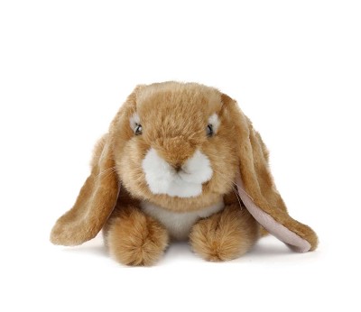 Brown Lop Eared Rabbit