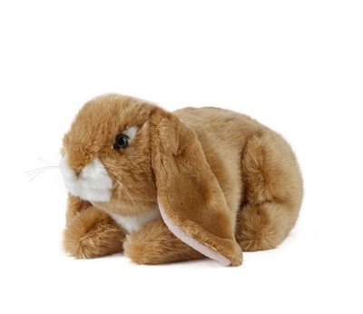 Brown Lop Eared Rabbit