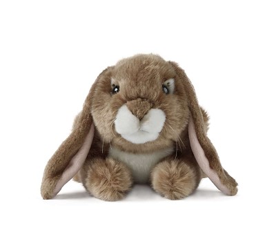 Dark Brown Lop Eared Rabbit