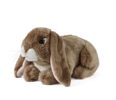 Dark Brown Lop Eared Rabbit