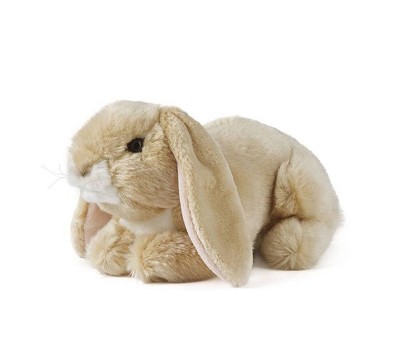 Light Brown Lop Eared Rabbit