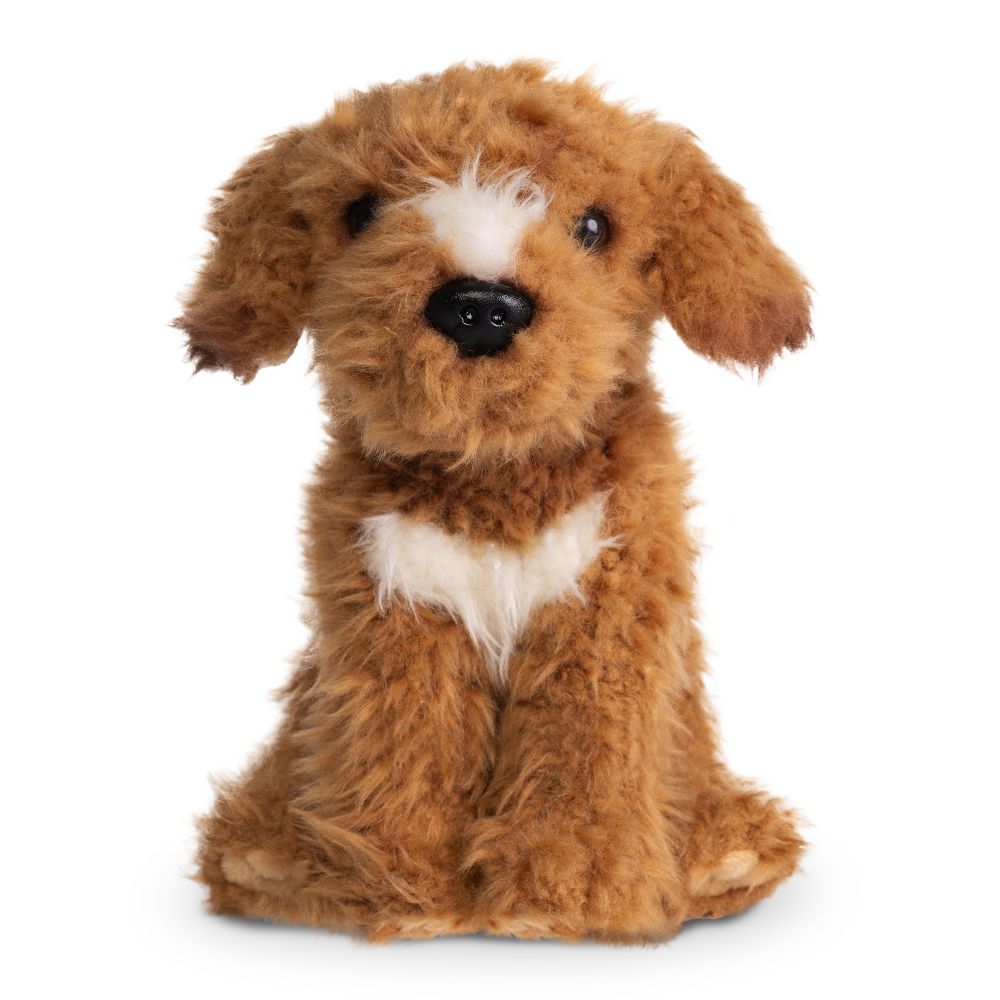Labradoodle Brown