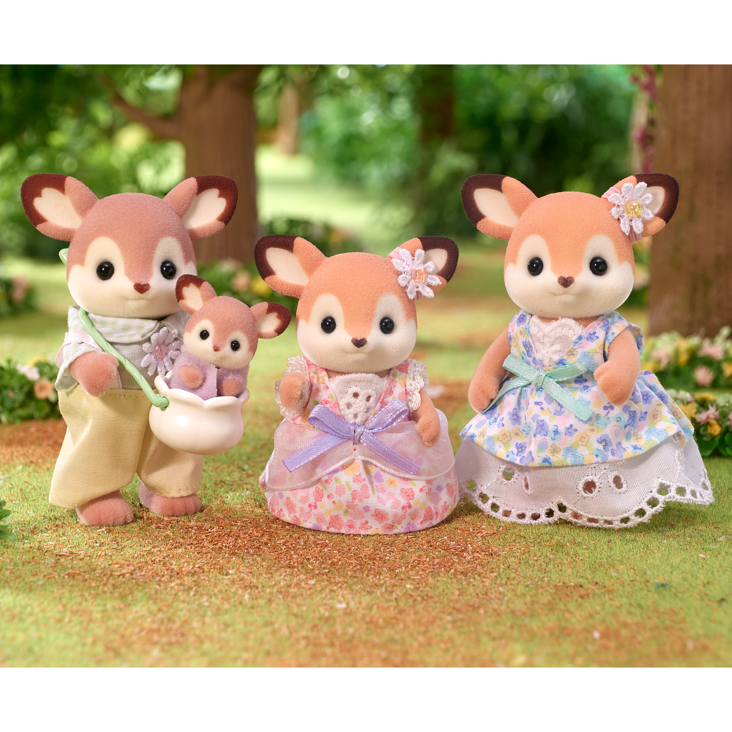 Deer family