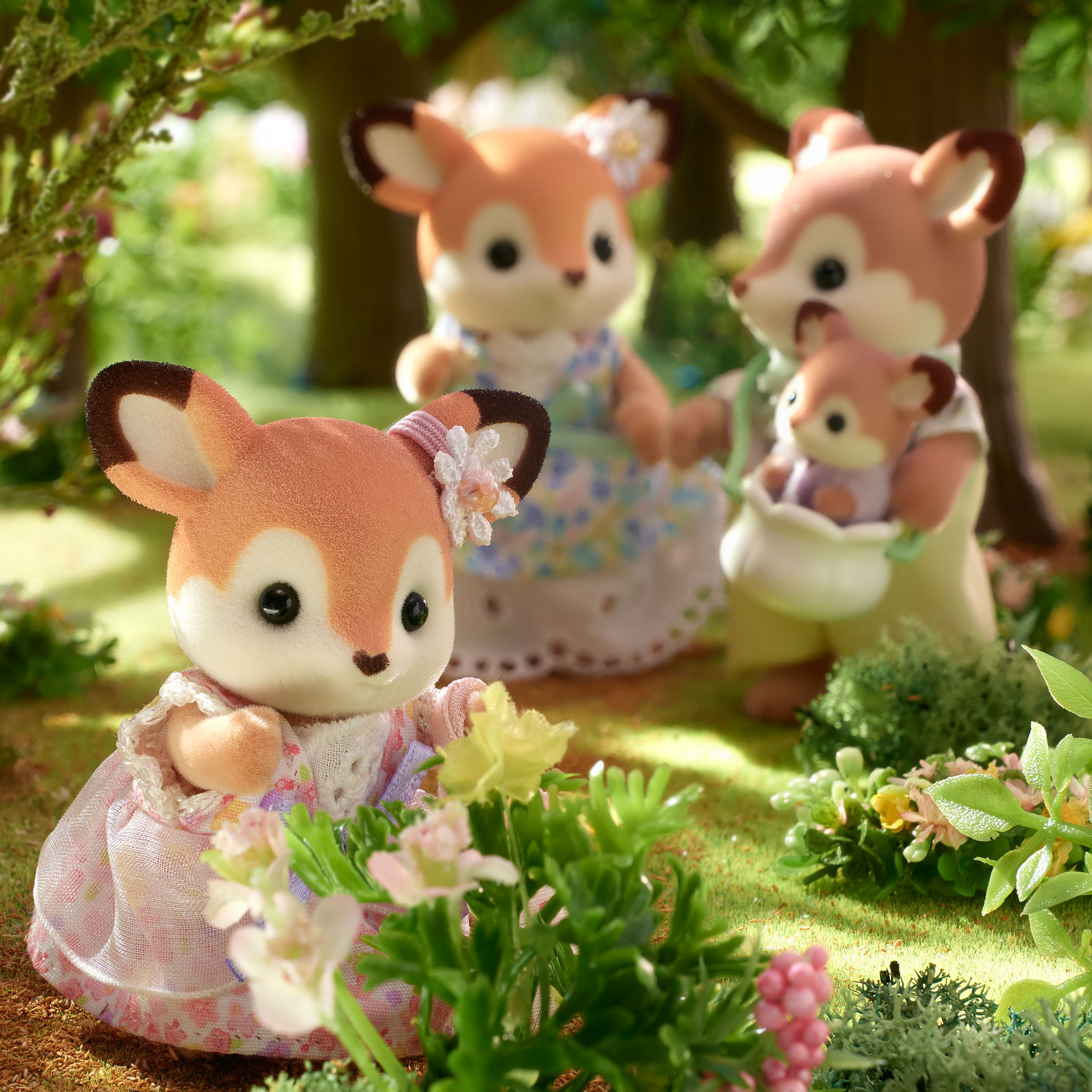 Deer family