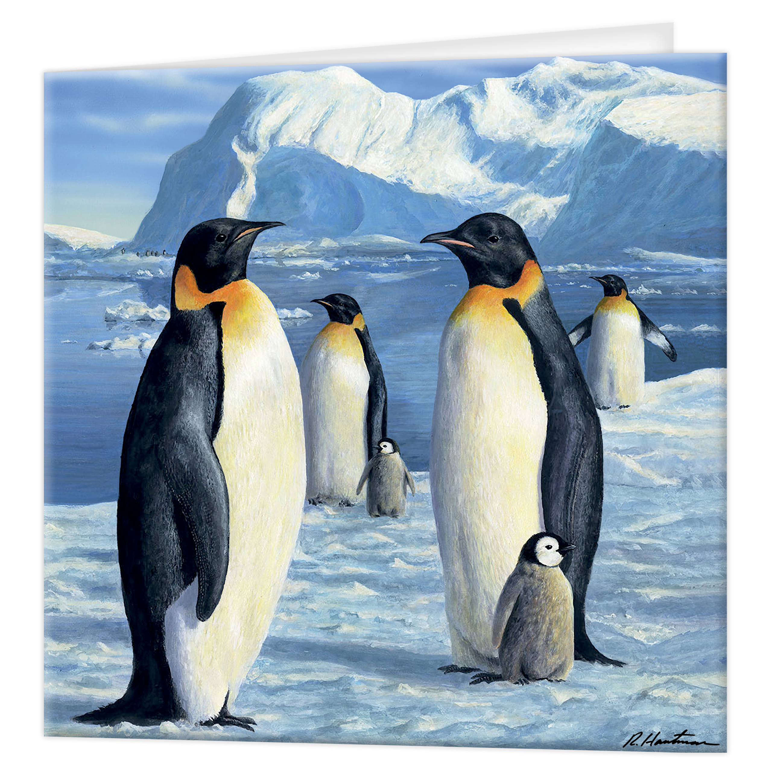 3D Greeting cards - Antarctic Majesty