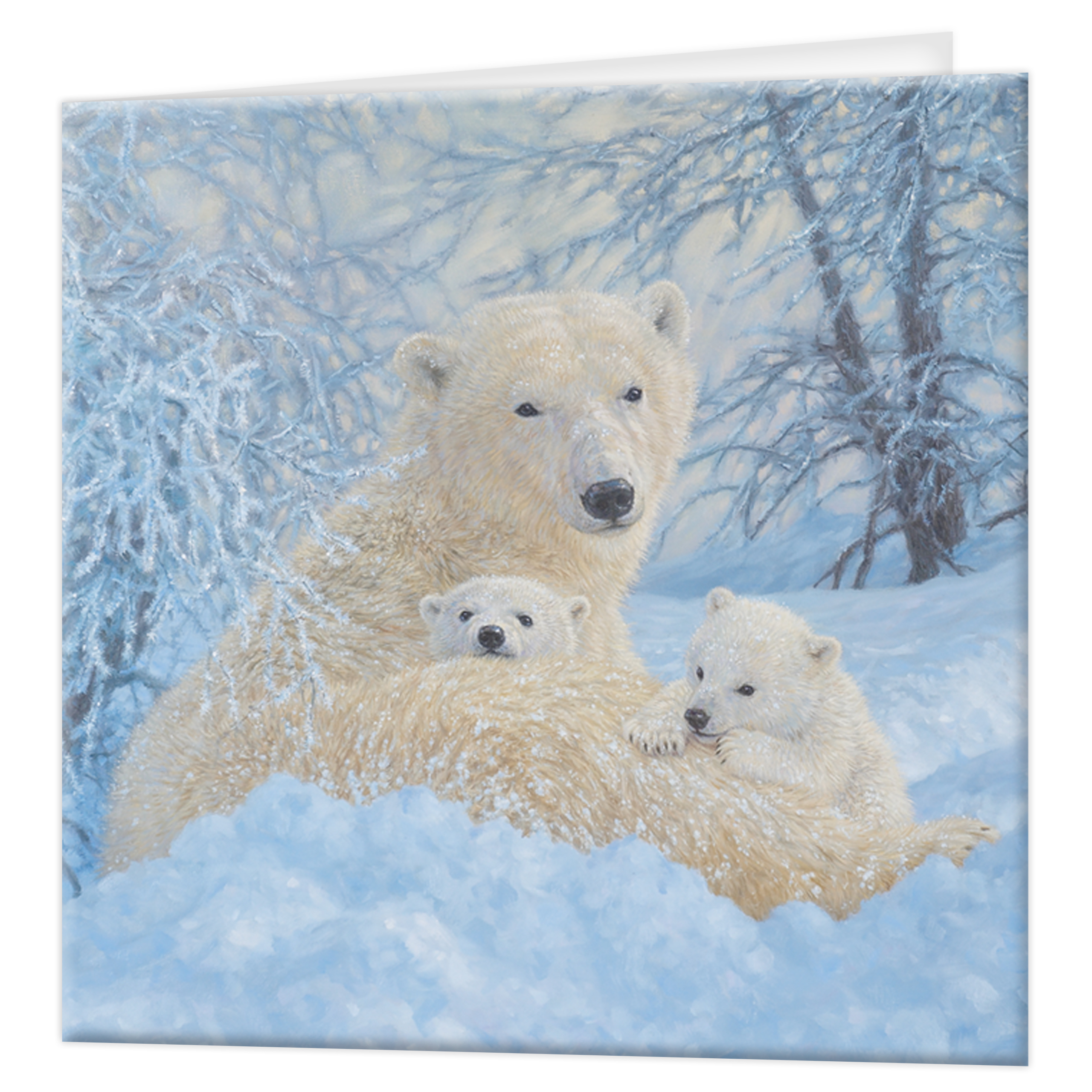 3D Greeting cards - Northern Family