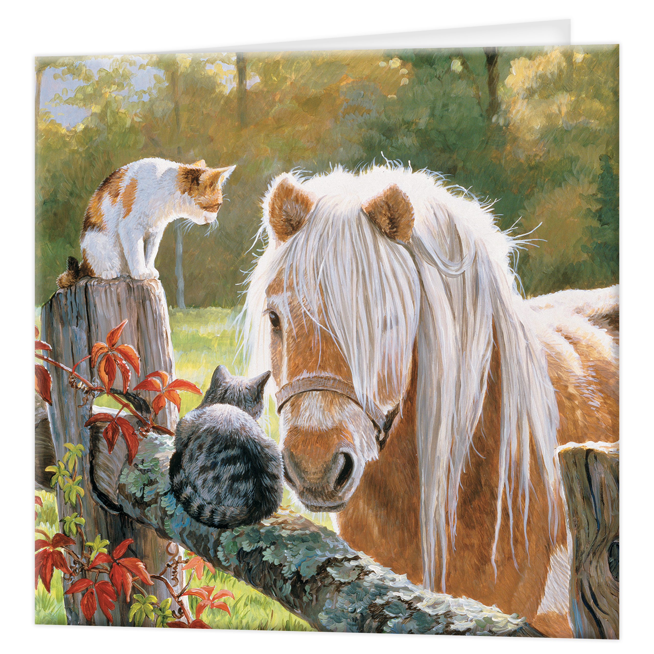 3D Greeting cards - Just Visiting