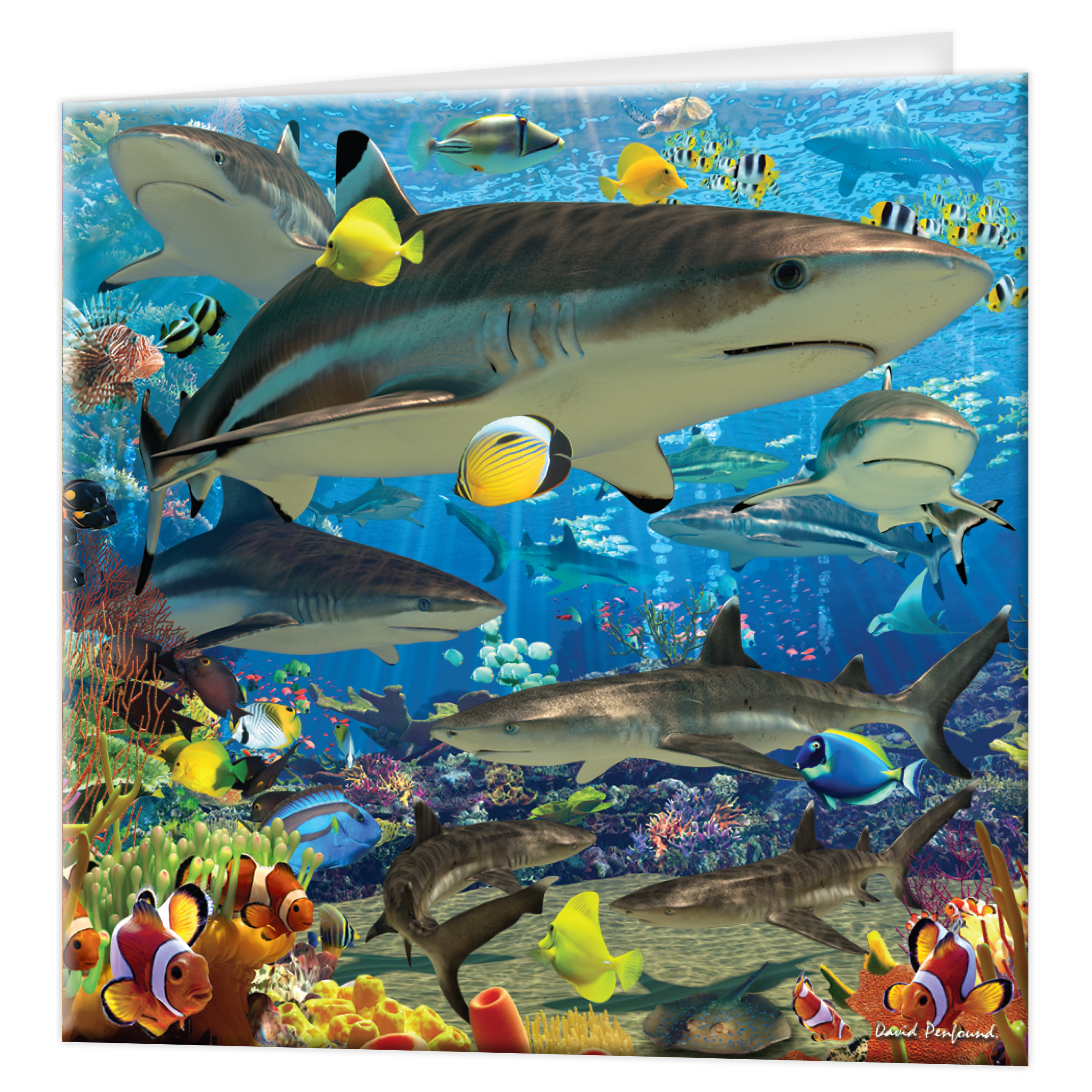 3D Greeting cards - Shark Reef