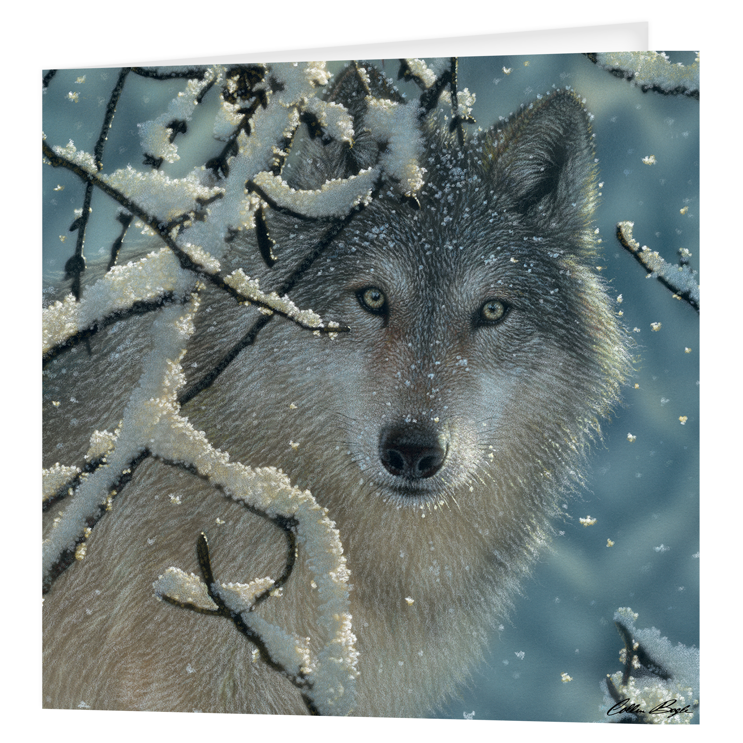 3D Greeting cards - Broken Silence