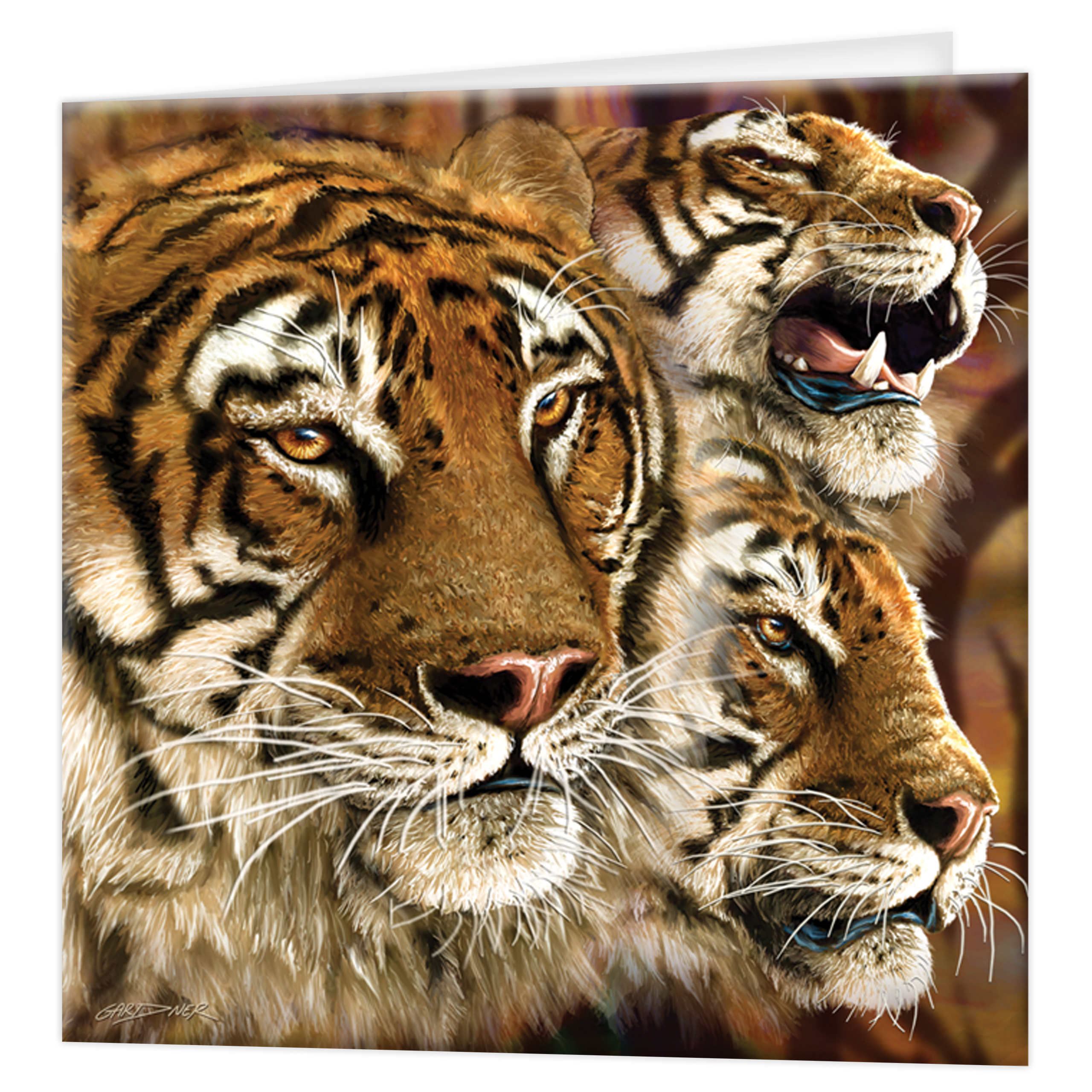 3D Greeting cards - Tiger Stripes