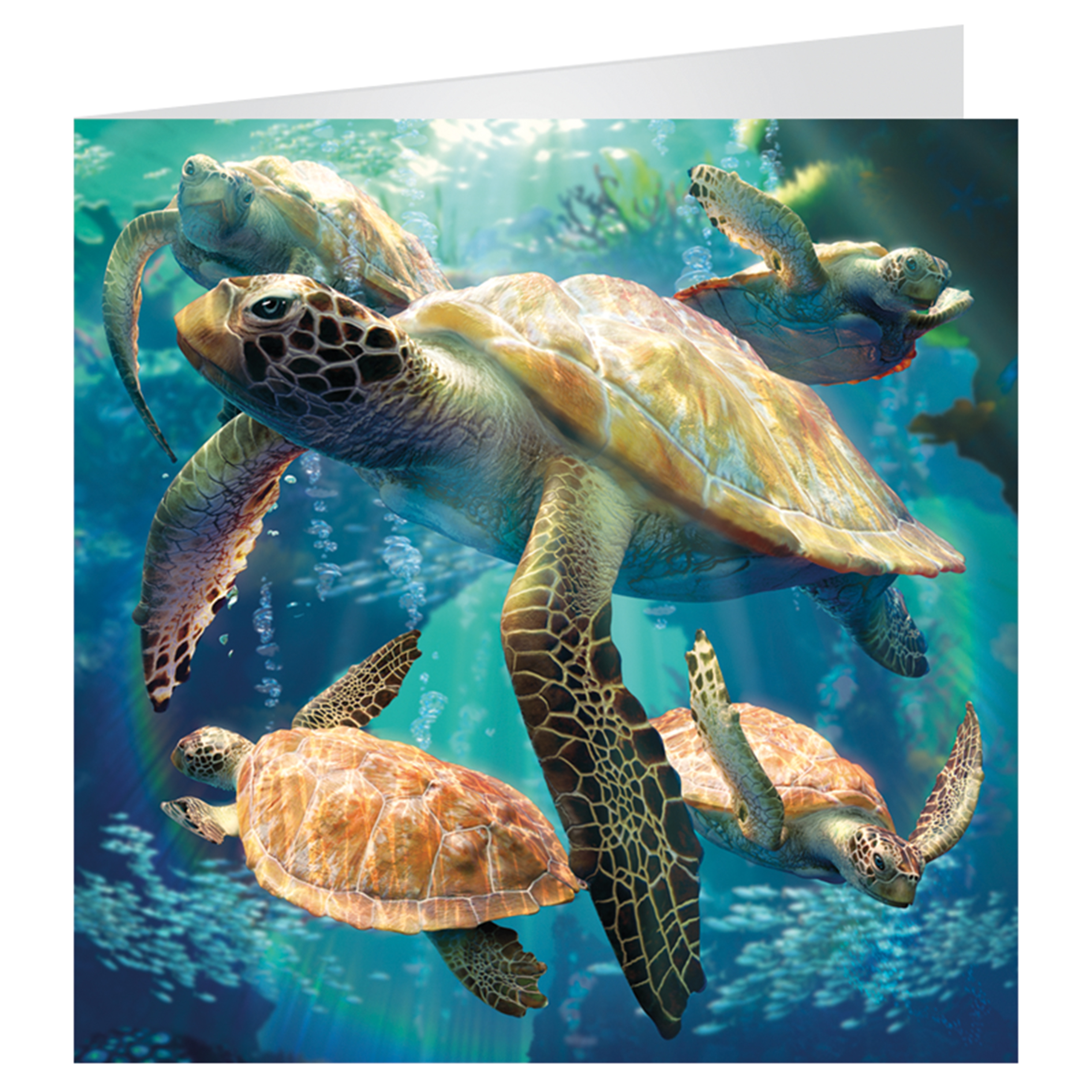 3D Greeting cards - Sea Turtle Swim