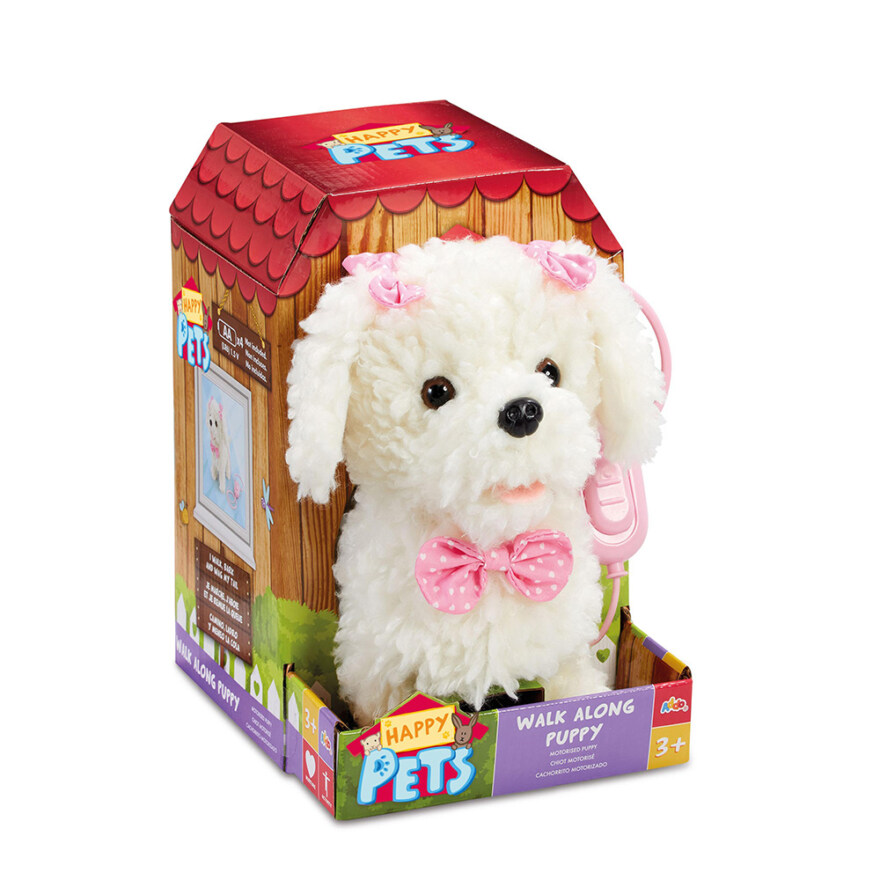 walk along puppy - poodle