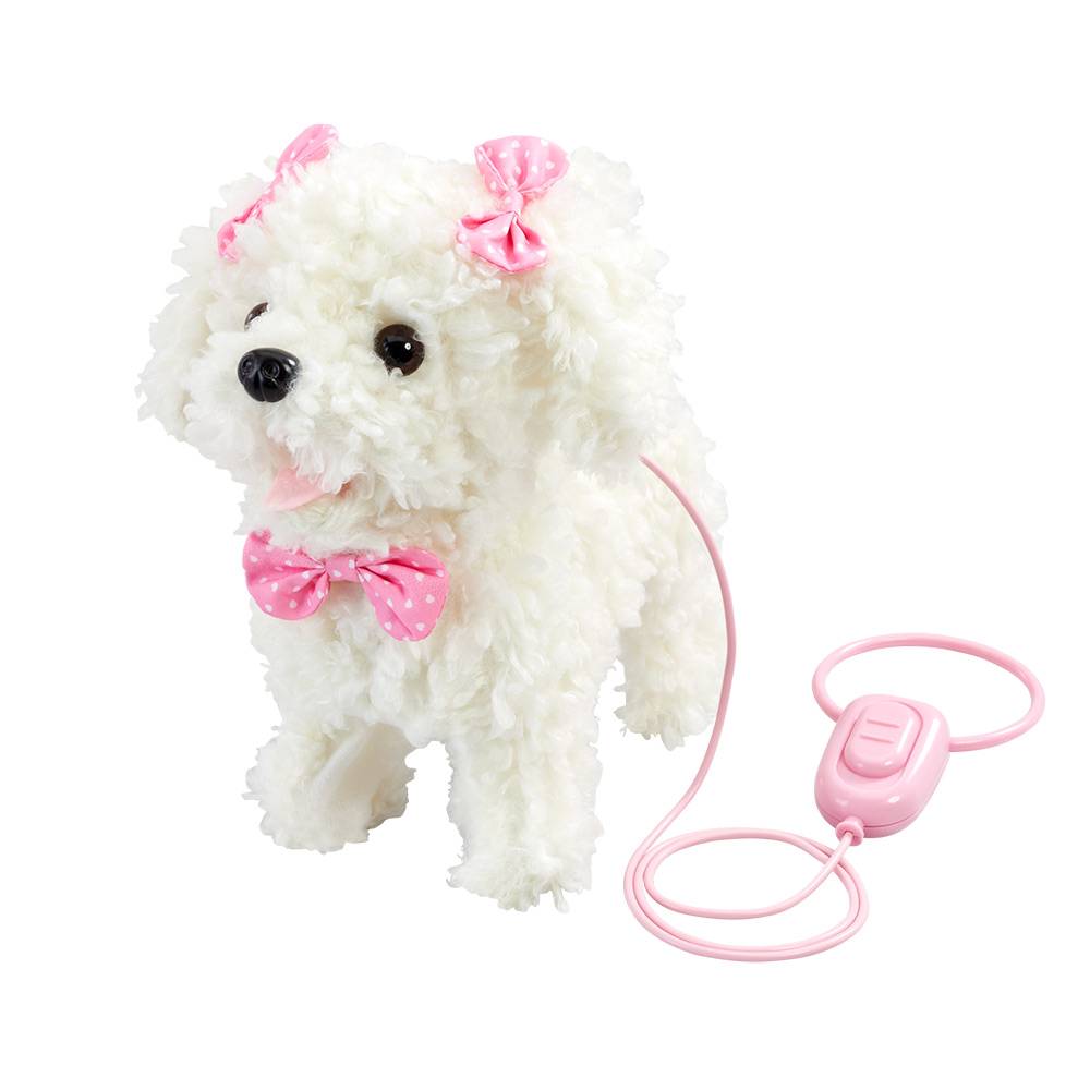 walk along puppy - poodle