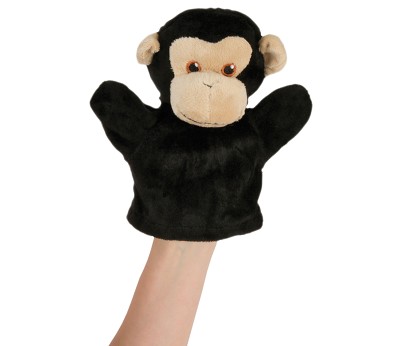 My first - Chimp