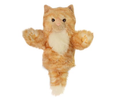 Cat (Ginger)
