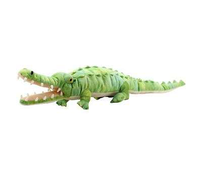 Crocodile
