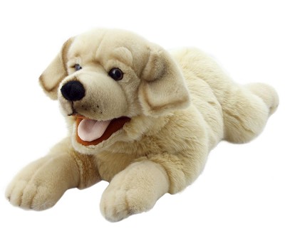 Labrador (Yellow)