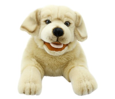 Labrador (Yellow)