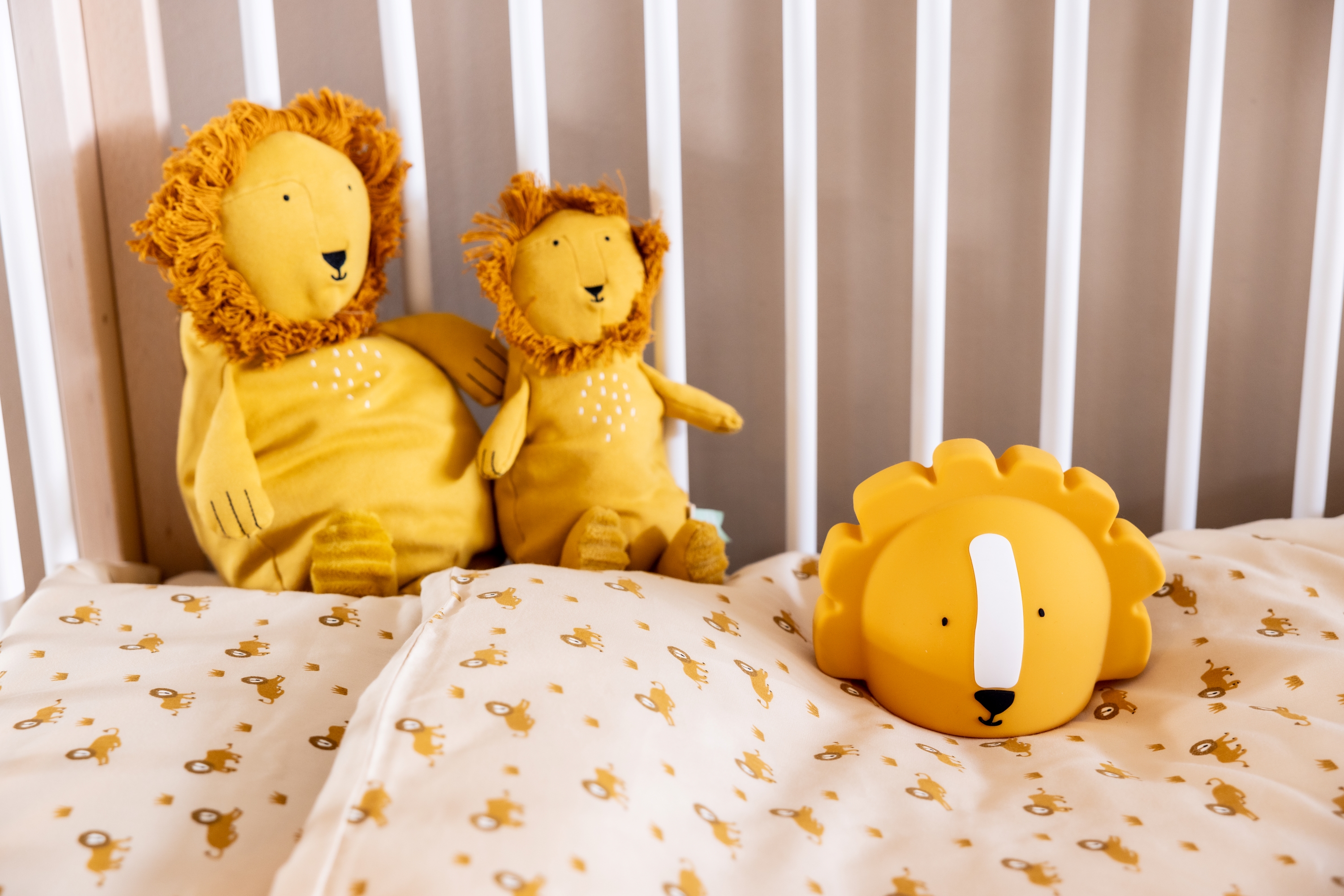 Night light - Mr. Lion
