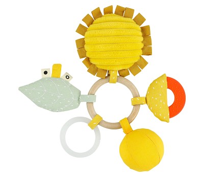 24-531 | Activity Ring - Mr. Lion