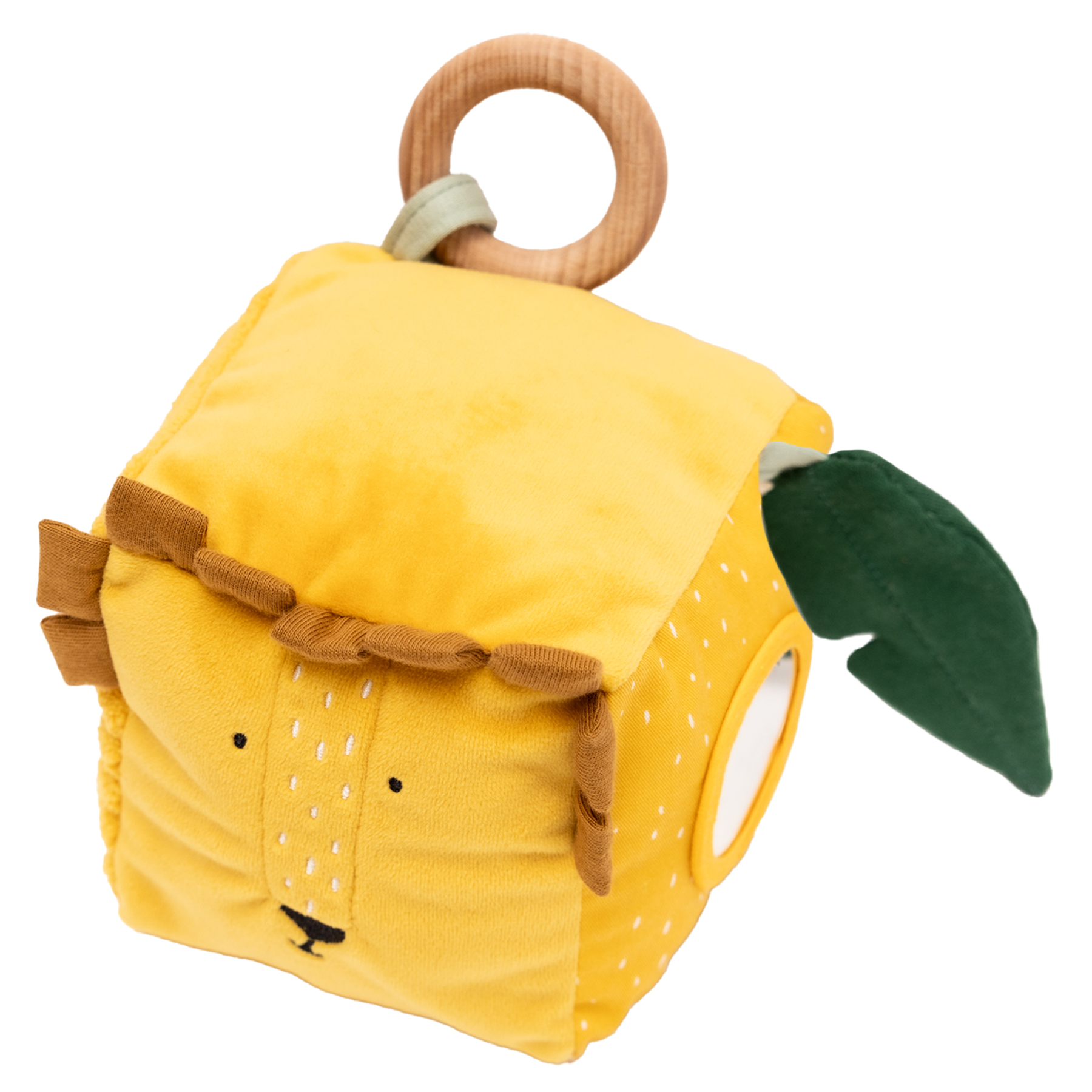Activity cube - Mr. Lion