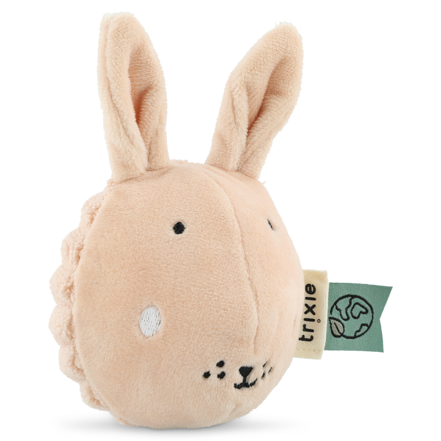 Sensory blocks - 4 animals