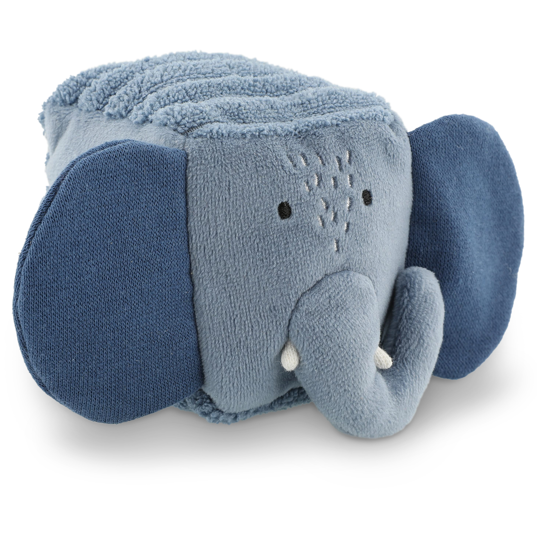Sensory blocks - 4 animals