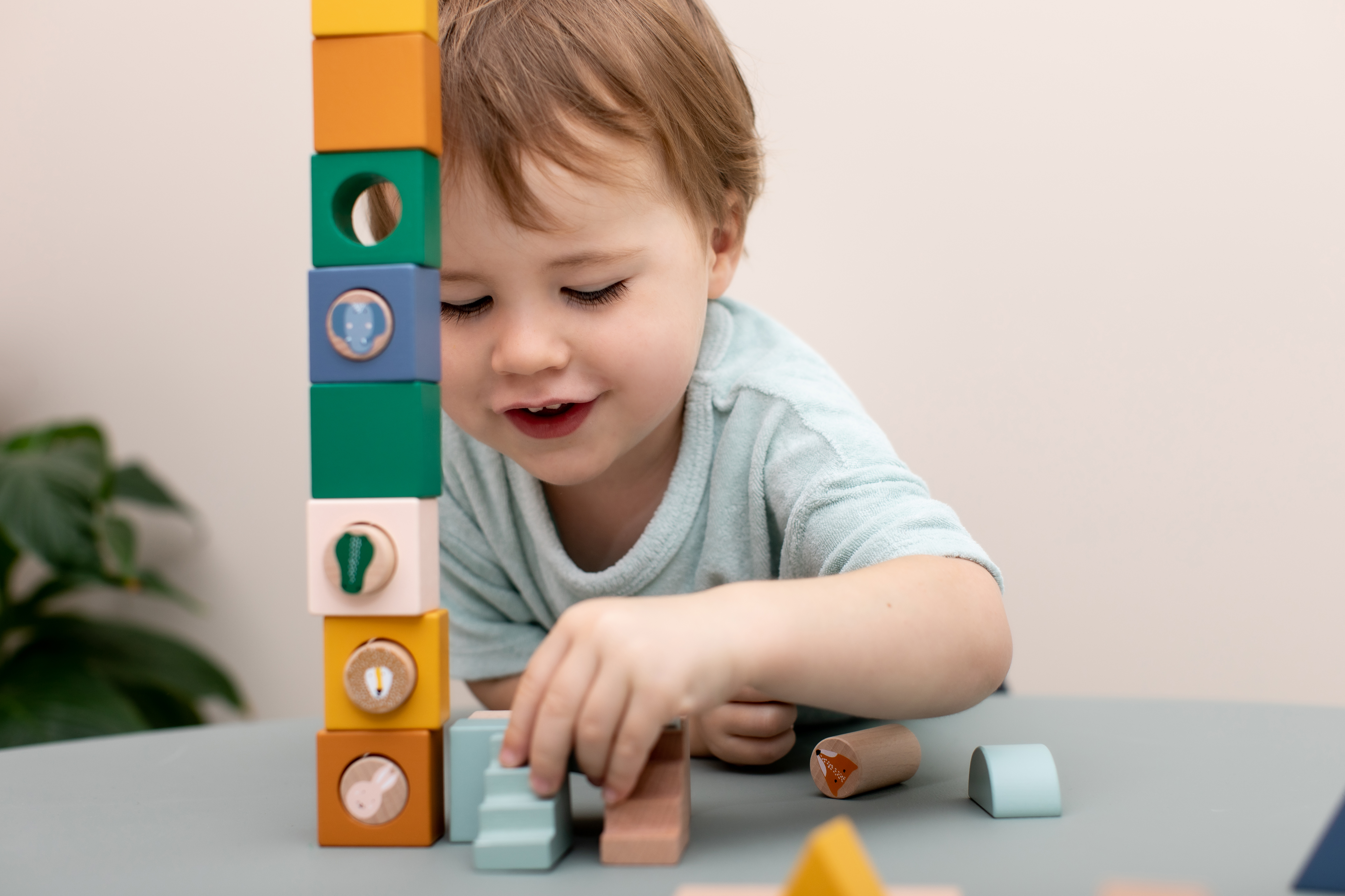 Wooden block city - 31pcs