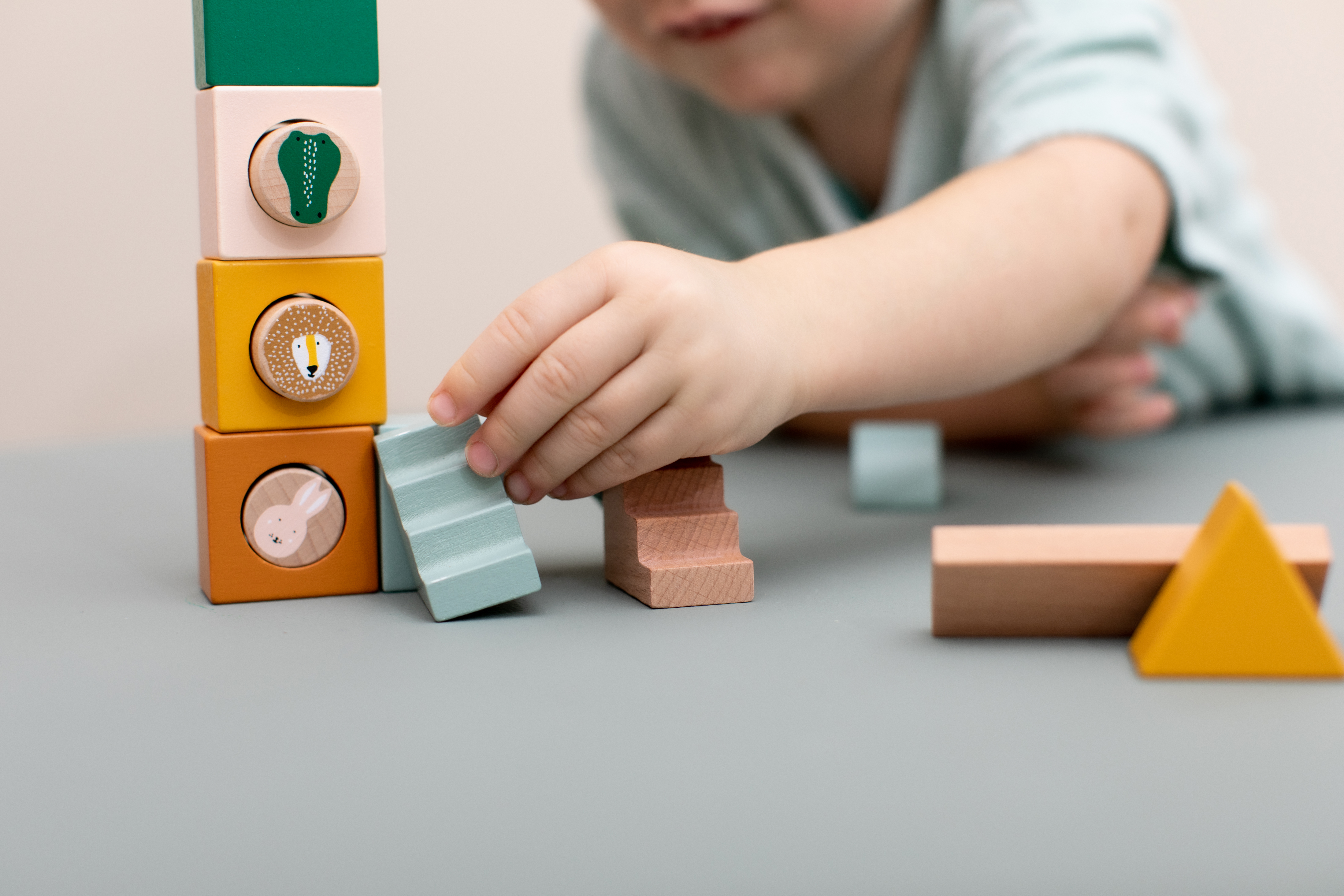 Wooden block city - 31pcs