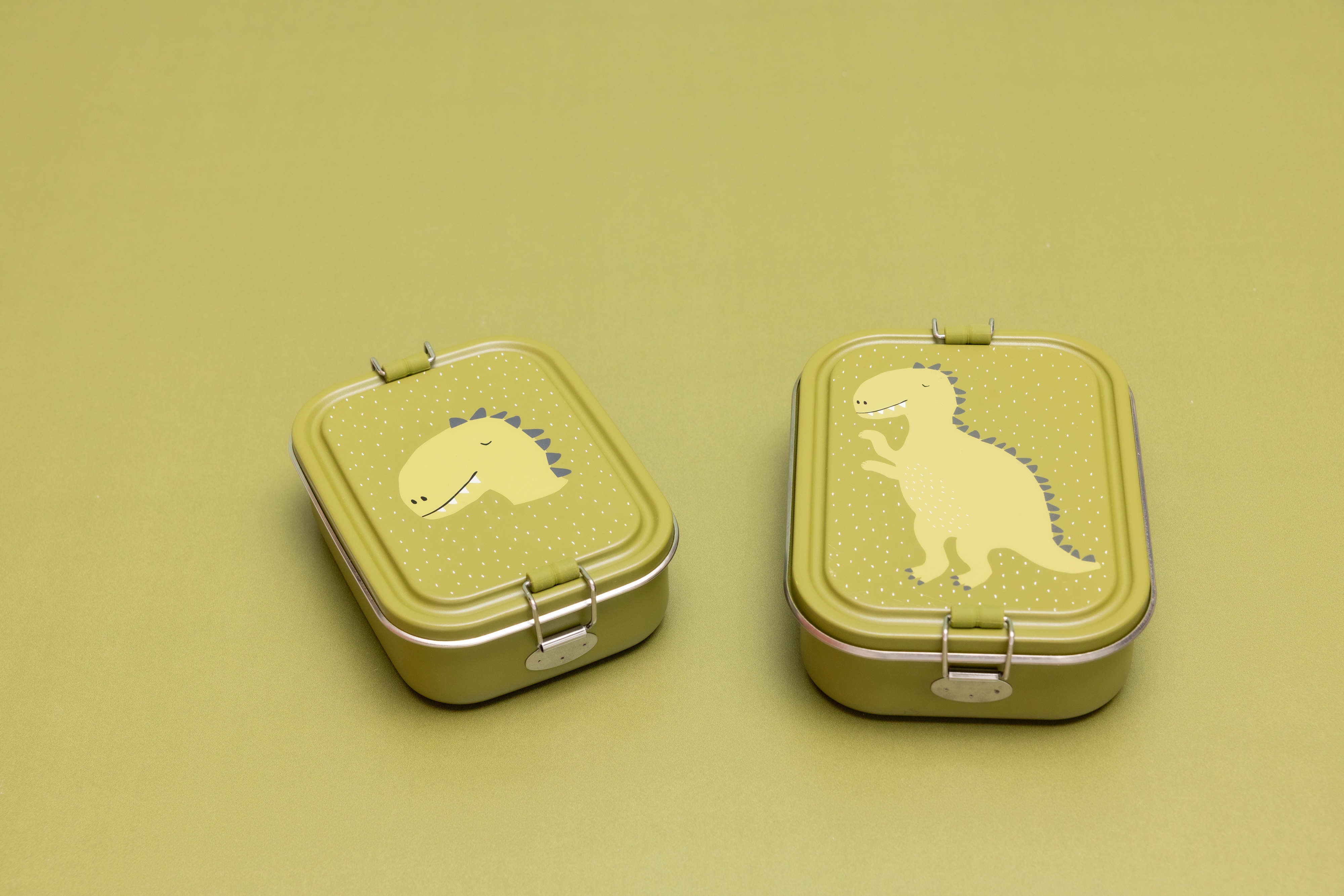 Lunch box small - Mr. Dino