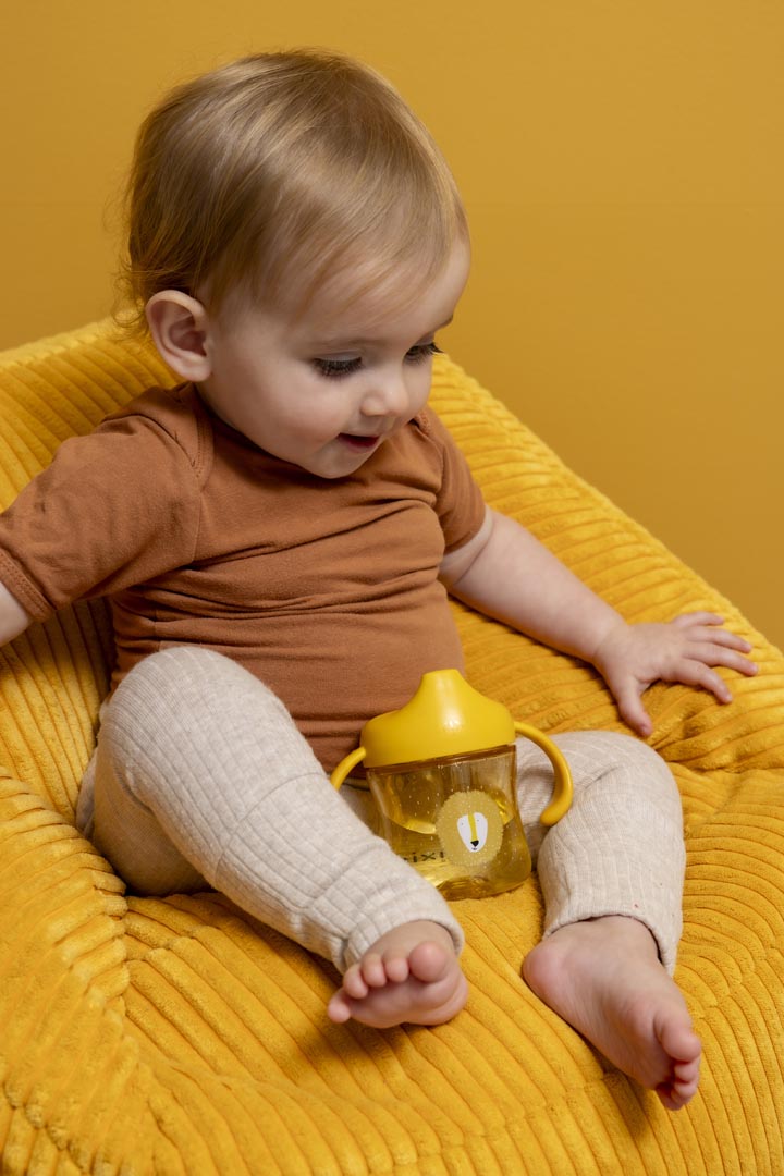 Sippy cup with handles - Mr. Lion