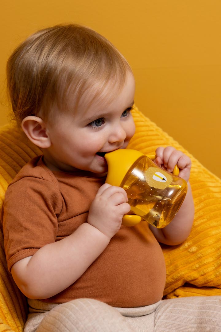 Sippy cup with handles - Mr. Lion