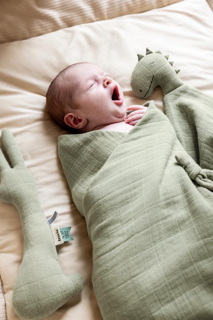 Comforter - Bliss sage - Mr. Dino